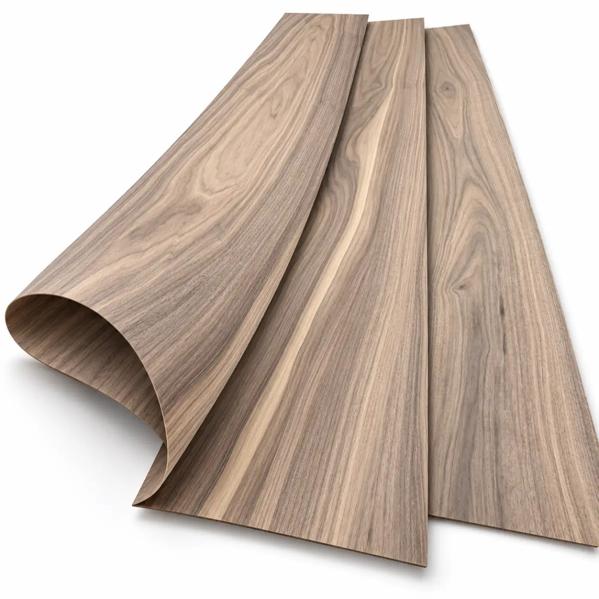 Natural Black Walnut Crown Cut Veneer - Image 5
